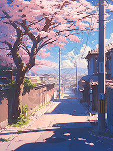 街头的樱花树图片