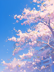 盛放的樱花树木樱花高清图片