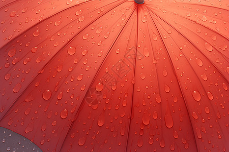 雨中的红伞图片