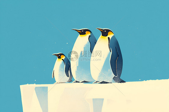 企鹅群在冰面上行走图片