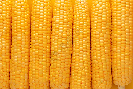 健康新鲜的玉米图片
