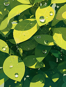 水滴在叶子上图片