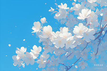 白花树风景图片