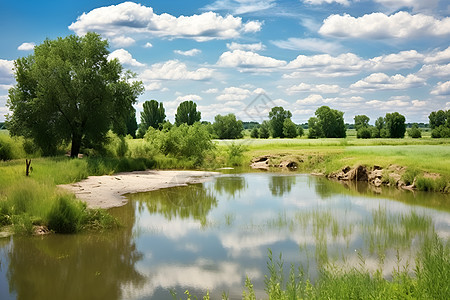 草地中的自然水域背景图片