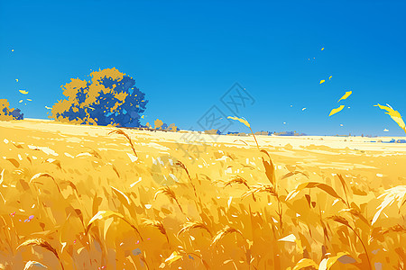 一片金黄麦田背景图片