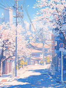 街边的樱花背景图片