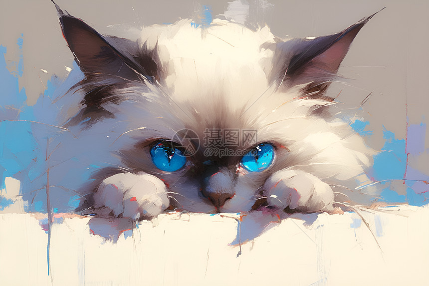 蓝眼睛猫咪图片