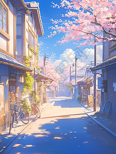 蓝天下的樱花街道图片