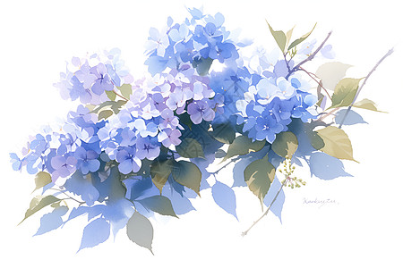 蓝色绣球花的水彩插画图片