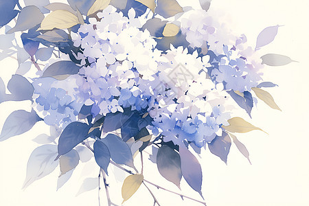 蓝色绣球花的水彩画图片