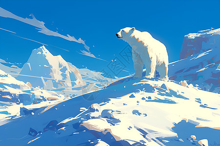 北极熊在冰雪地上图片