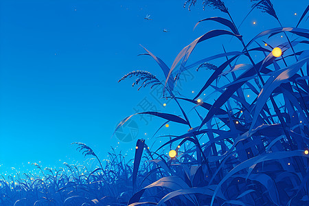 玉米田里的萤火虫点亮夜空背景图片