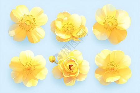 黄色小花绽放图片