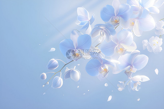 蓝色花瓣的清新美感图片