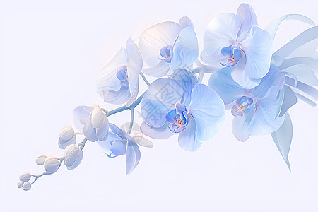 蓝白色花枝图片