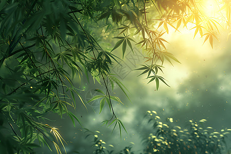 太阳透过竹叶照耀在绿野图片