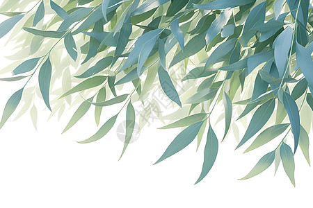 柳枝绿叶插画背景图片