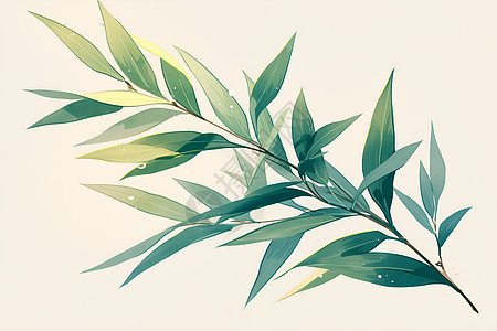 柔软细致的绿柳枝背景图片