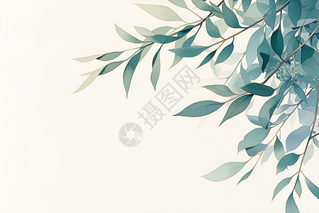 翠绿柳枝的柳枝插画背景图片