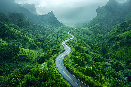 山脉航拍汽车驶过蜿蜒的道路插画