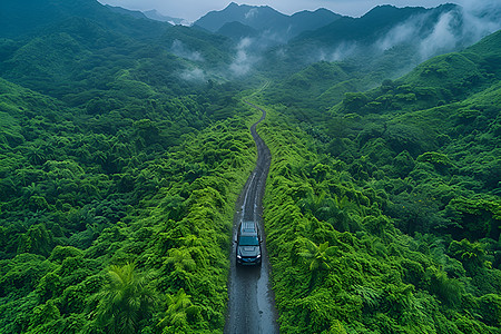 环抱山林中的飞驰汽车图片