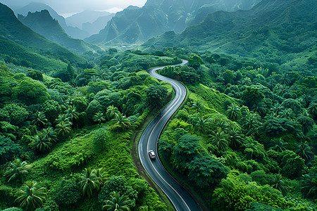 绿色山道上的驰骋景观设计图片