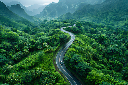 绿色山道上的驰骋景观图片