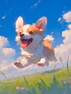 快乐小狗在草地上奔跑图片