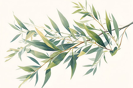 绿柳枝的简洁线条插画图片