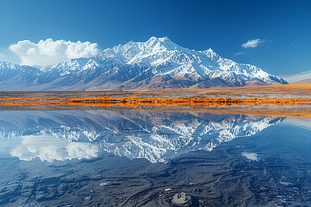 青海湖景观图片