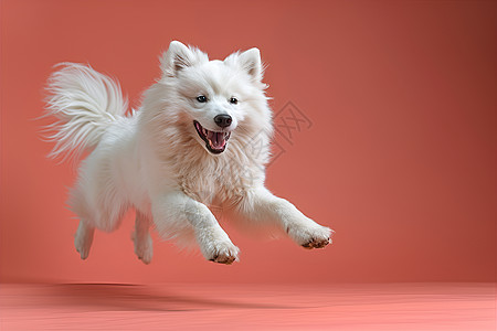 可爱动物插画欢乐奔跑的狗狗背景