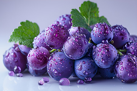 紫色葡萄束上的水珠图片