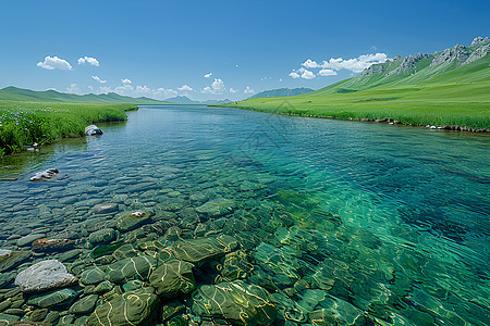 青海湖之美图片