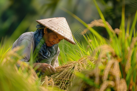 戴着稻草帽的女人图片