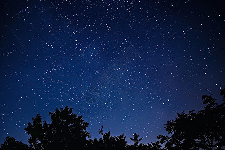 夜晚的星星和树木图片