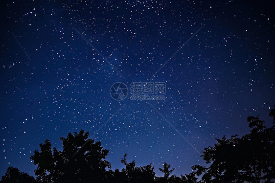夜晚的星星和树木图片