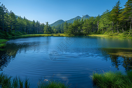 清澈湖泊背景图片