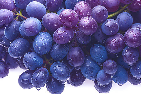 紫色葡萄上的水珠图片