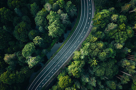 森林中的道路图片