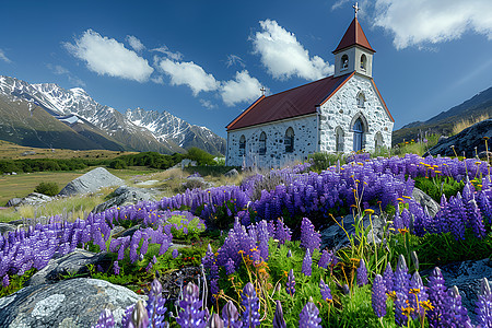 紫色花海中的教堂图片