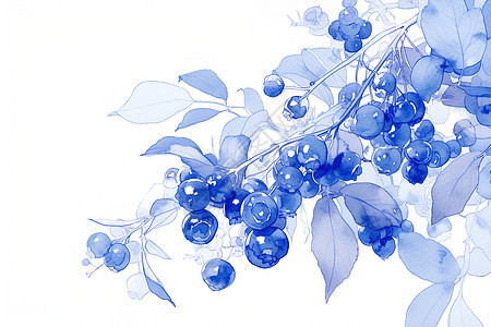 枝头上的蓝莓图片