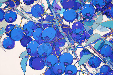 成熟的蓝莓食物图片