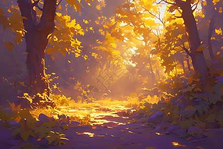 森林里的阳光小路图片