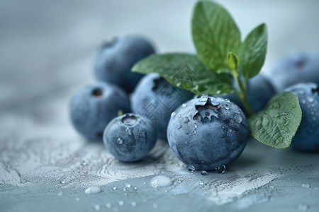挂满水珠的新鲜蓝莓图片