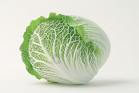 翠绿的大白菜图片