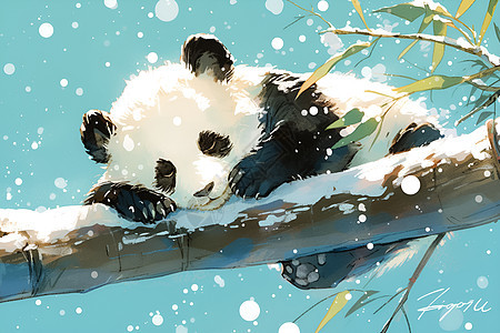 冬日树枝上的熊猫图片