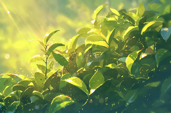阳光下的绿叶丛图片