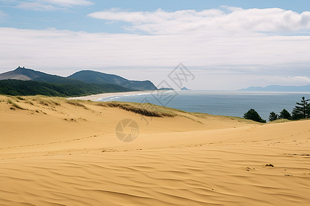 海边的沙滩图片