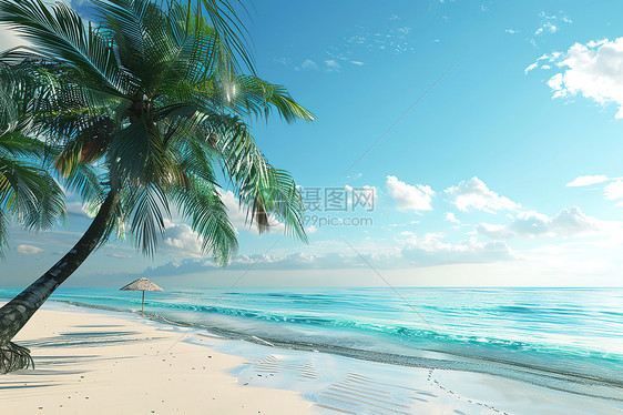 海滩上的一棵棕榈树图片