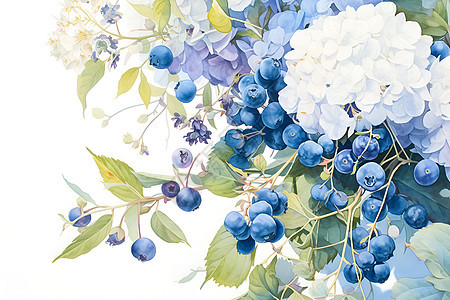 白花下成熟的蓝莓图片